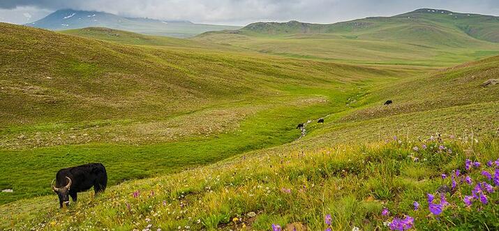 Beautiful Places In Pakistan