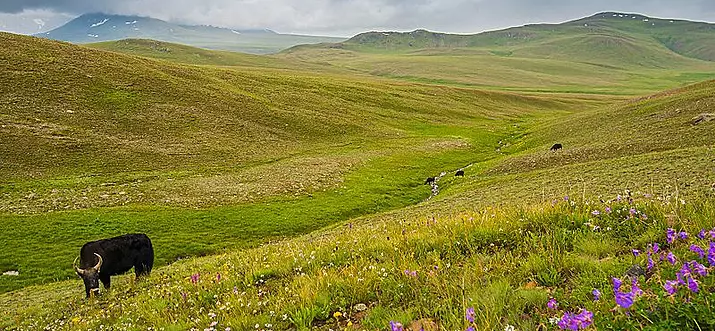  12 Beautiful Places In Pakistan