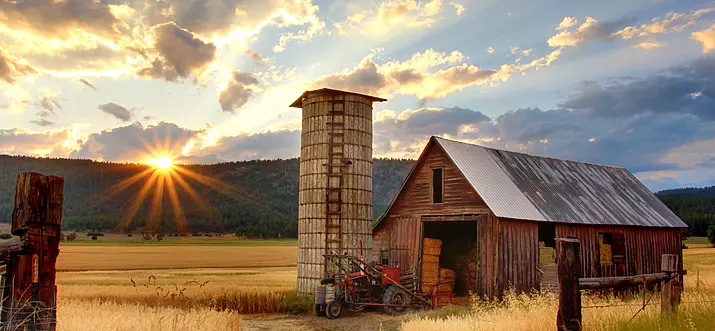 Top 10 Farm To Table Restaurants In Chicago, Illinois