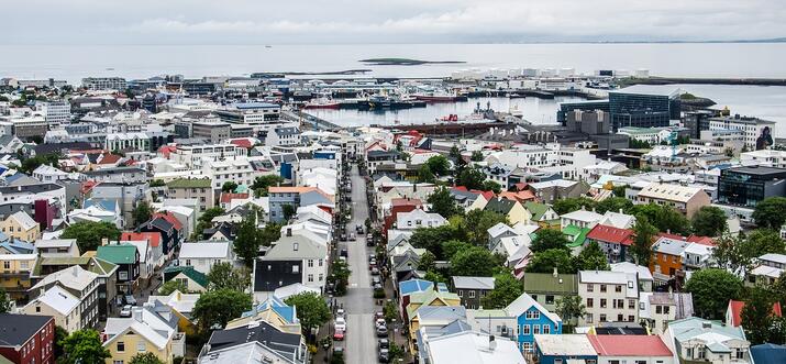 what to buy in reykjavik