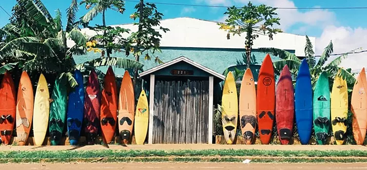 10 Best Surf Spots In San Diego, California, USA