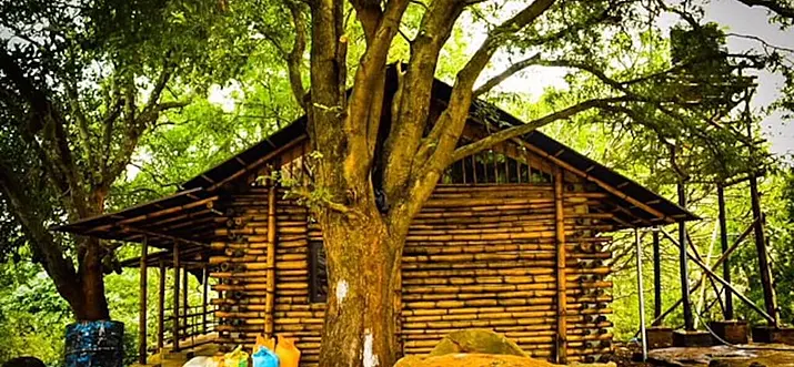 10 Best Yelagiri Homestays