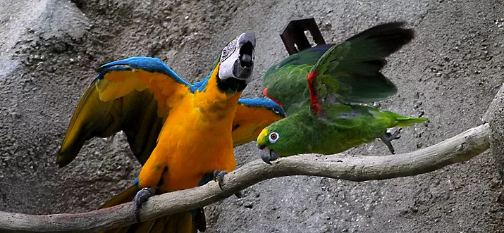 Top 10 Theme Parks And Amusement Parks In Miami, Florida