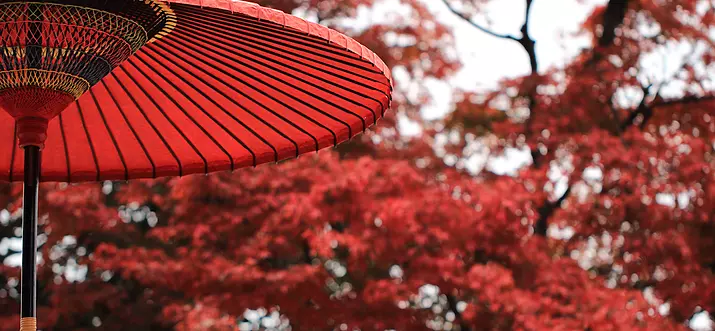 Top 20 Recommended Scenic Spots in Japan
