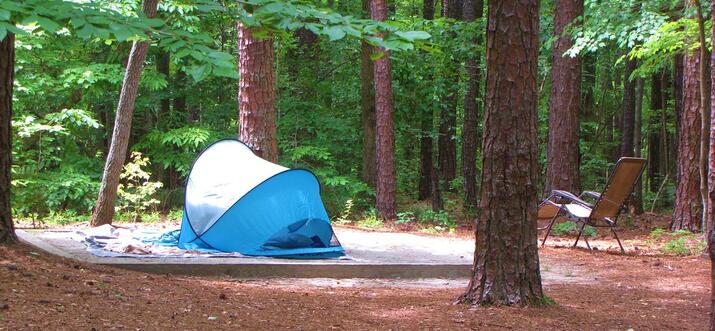 10 Best Things To Do Alone In Raleigh, North Carolina