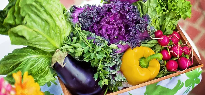 10 Best Farm-To-Table Restaurants In Indianapolis, Indiana