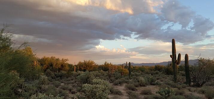 fun cheap things to do in tucson