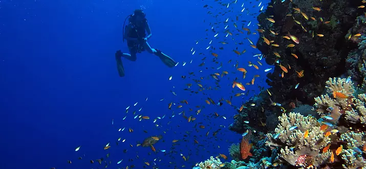 8 Meilleures choses à faire à Taba, Egypte