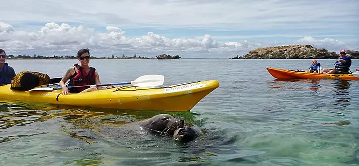 11 Best Things To Do Over The Summer Holidays In Australia