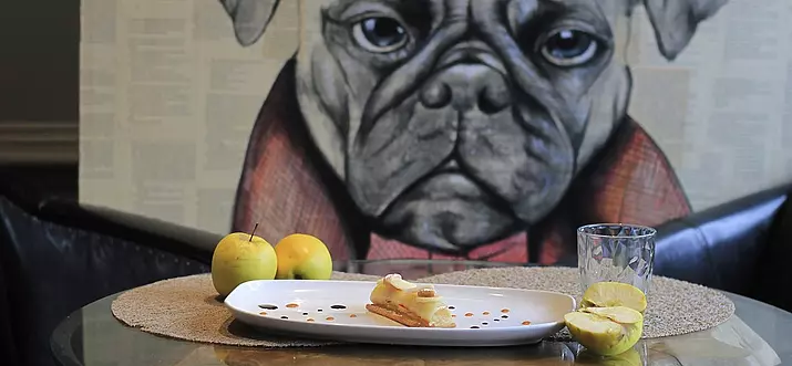 10 Handpicked Dog-Friendly Restaurants In Santa Barbara, California