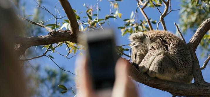 things to do in port lincoln