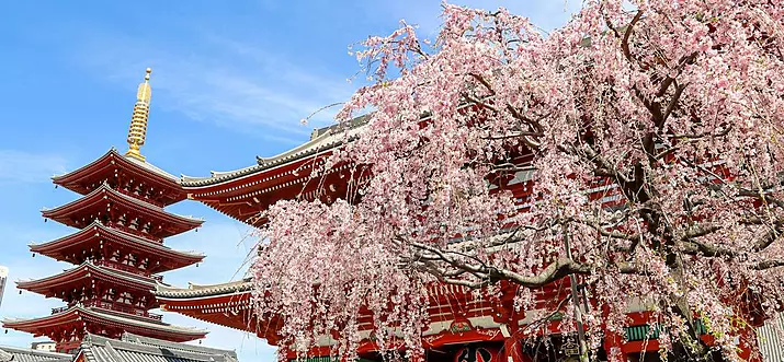 11 Best Guided Tours In Japan