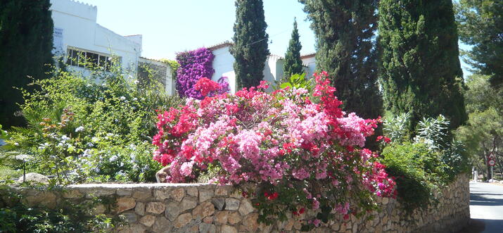 things to do in Almunecar