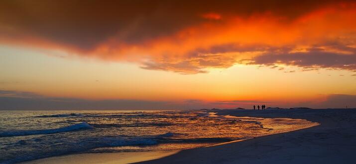 9 Meilleures choses à faire sur l'Île de Captiva, Floride