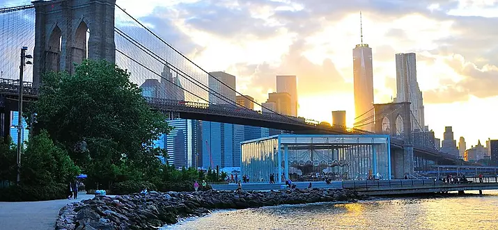 Top 24 Things To Do In Downtown Brooklyn, New York City