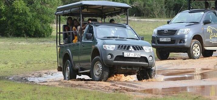 safari in sri lanka