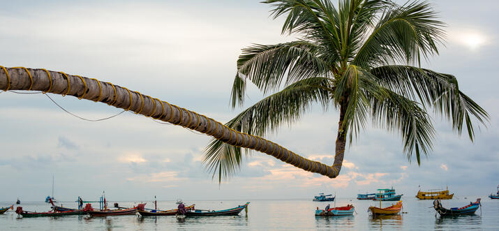 Que faire à Chumphon, Thaïlande ? Les 12 choses incontournables