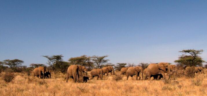 road trips in Nairobi