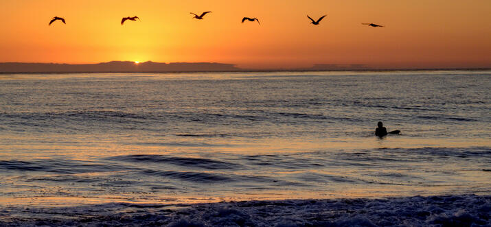 7 Choses essentielles à faire à San Clemente, Californie