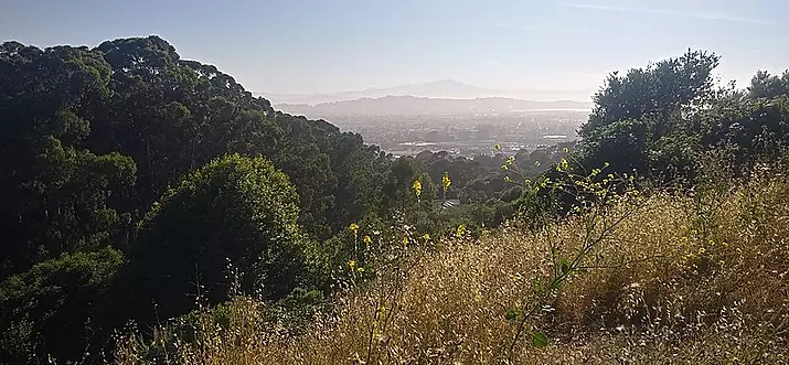 Top 18 Things To Do In Richmond, California