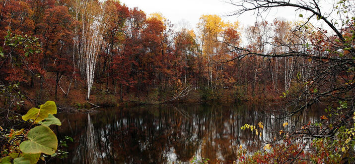 things to do in Brainerd MN