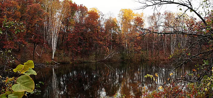 15 Best Things To Do In Brainerd, Minnesota