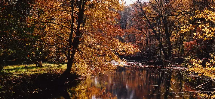 Top 17 Things To Do In Middletown, Delaware