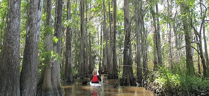 14 Best Things To Do In Darien, Georgia