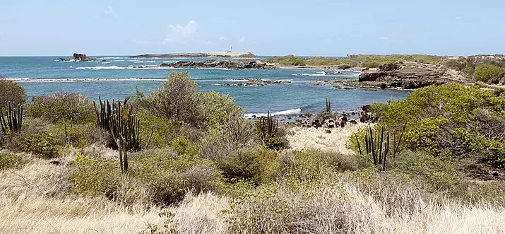 Top 20 Things To Do In Fort-de-France Bay, Martinique