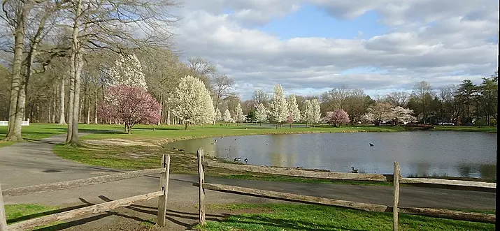 Top 11 Things To Do In Cranford, New Jersey