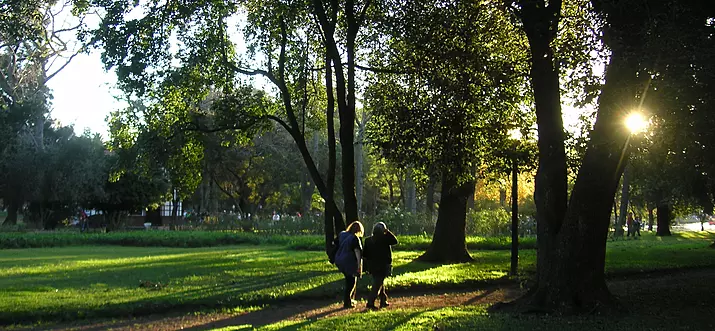21 Best Things To Do In Maryland Heights, Missouri