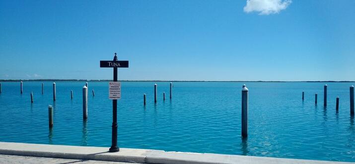 rent a boat in the bahamas