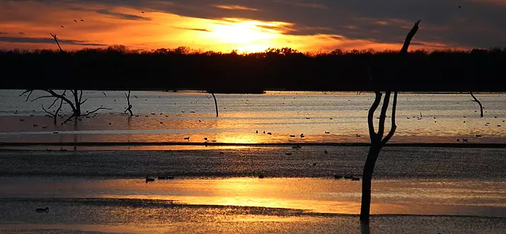 14 Best Things To Do In Angleton, Texas