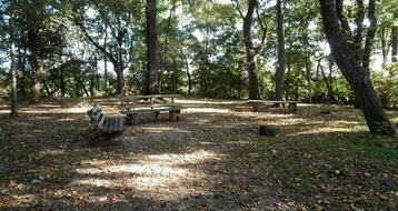 17 Best Things To Do In New Albany Mississippi Trip101