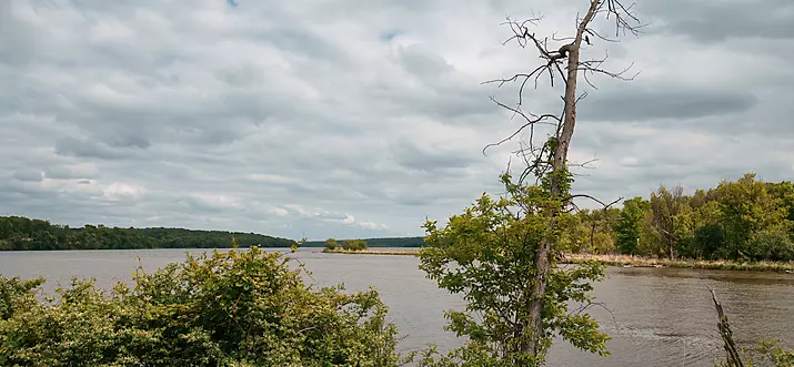 26 Handpicked Things To Do In Cottage Grove, Minnesota