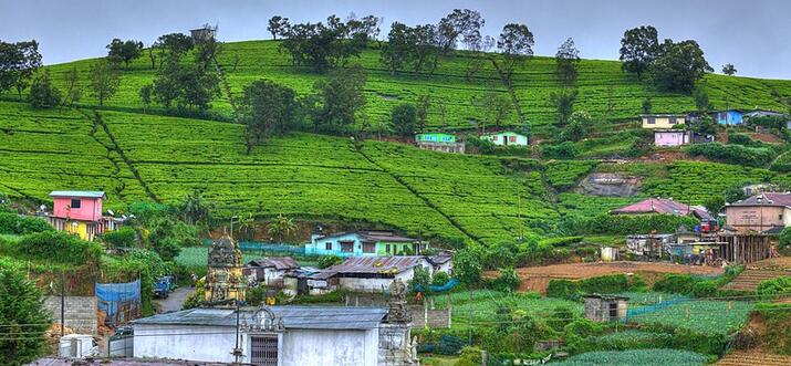 things to do in Nuwara Eliya Sri Lanka