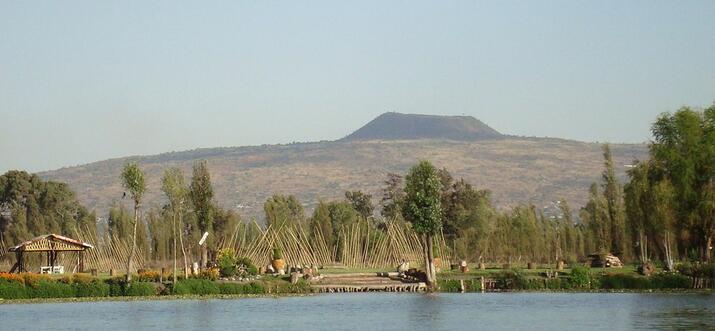 things to do in xochimilco