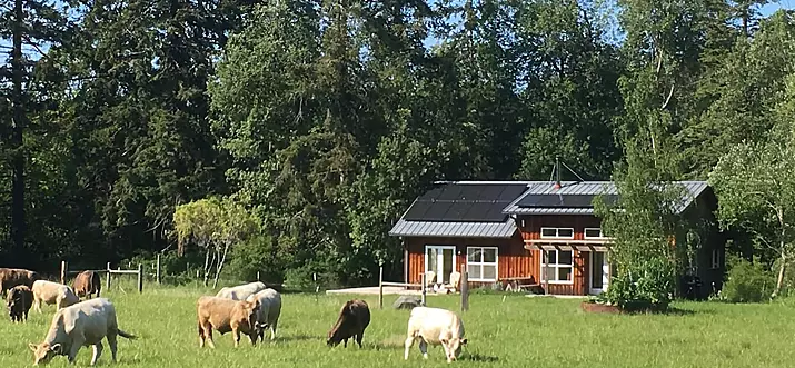 The 15 Best Farm Stays In Washington
