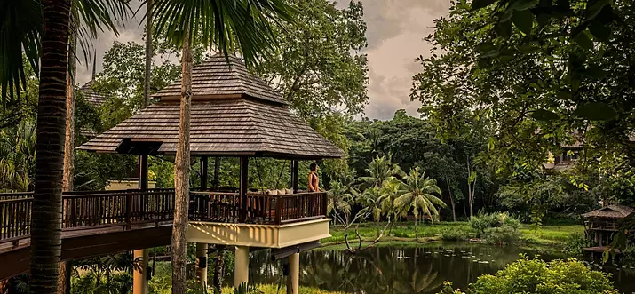 Top 7 Yoga Retreats In Chiang Mai, Thailand