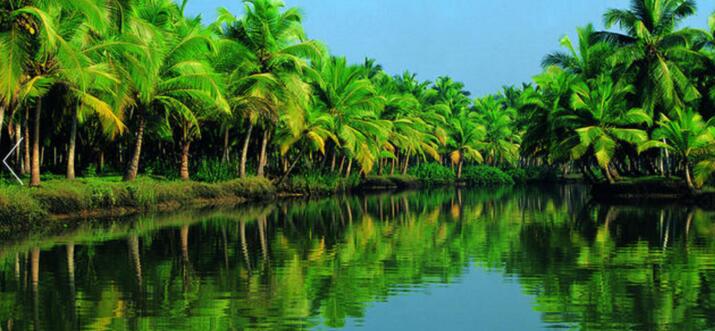 best day trips from kerala