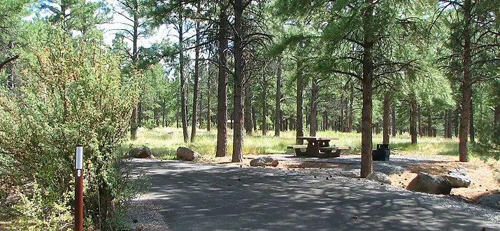 10 Best Campsites In Williams, Arizona