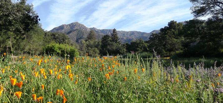 36 hours in santa barbara