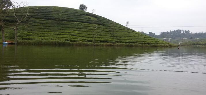 things to do in vagamon