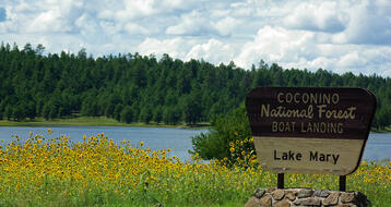 6 Beautiful Lakes In Flagstaff Arizona - Updated 2021 Trip101