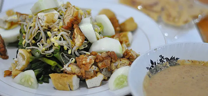 Top  9 Vegan Restaurants In Zürich, Switzerland