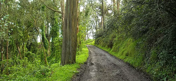 Top 10 Hiking Trails In San Francisco, California