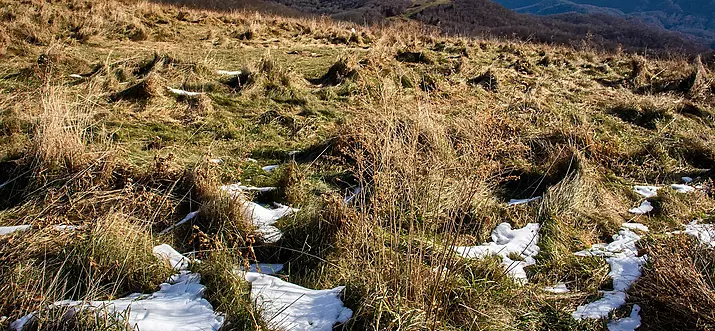 10 Handpicked Hiking And Trekking Spots In North Carolina, USA