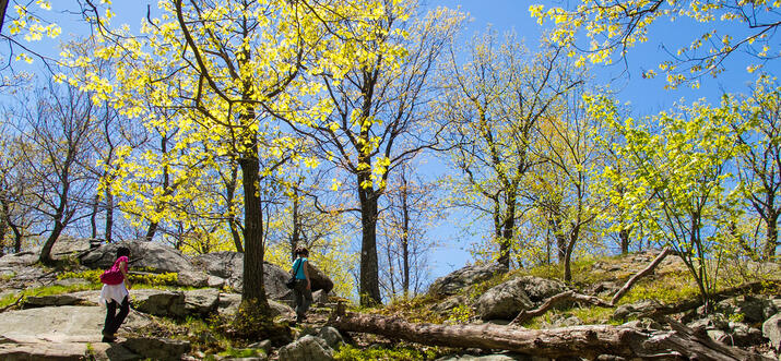 hiking in upstate ny