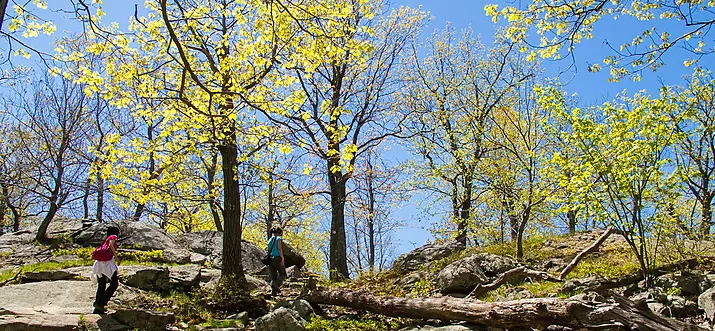 Top 10 Hiking Trails In Upstate New York