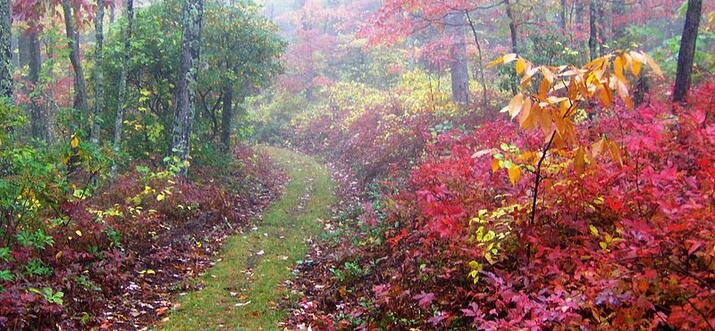 hiking in gatlinburg